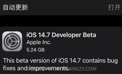 iOS14.7正式版v1.29截图