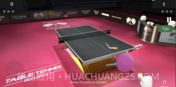 真实乒乓球v1.13截图