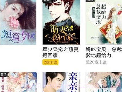 豆腐小说v8.3.11截图