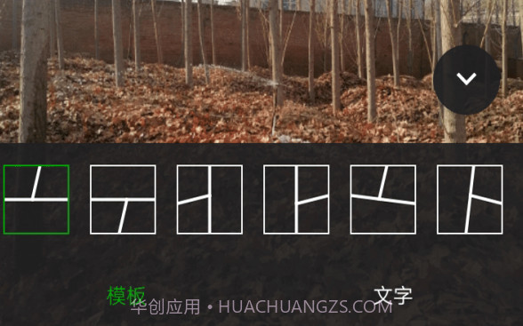小葡萄v1.0.16截图