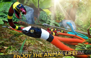 丛林蛇生存自由赛跑v1.6.8截图