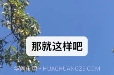 微信8.0.3正式版v1.7截图
