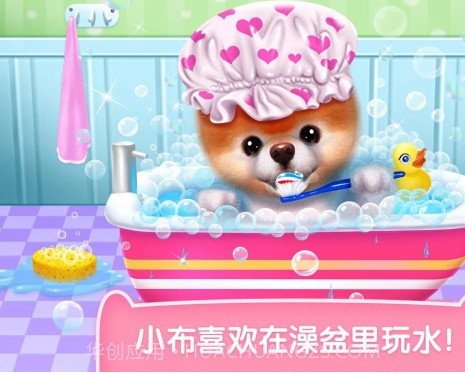 可可公主宠物小布v1.8截图