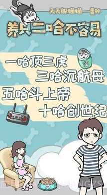 养只二哈不容易v2.15截图