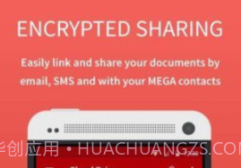 megav1.11截图