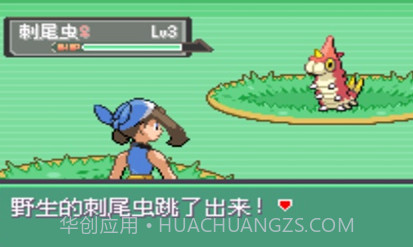 口袋妖怪暗之冰花中文版v3.0.11截图