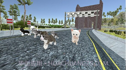 小猫对决v1.13截图