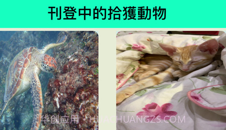 帮它找个家v1.10截图