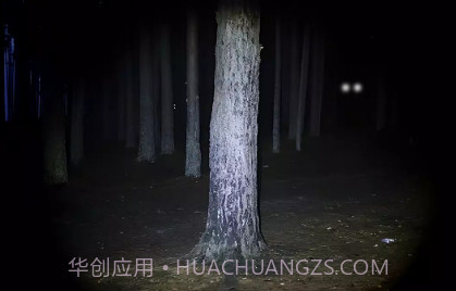 永远不要尖叫v2.0.9截图