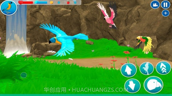 小小鹦鹉模拟器v1鐎瑰宕渧1.13截图