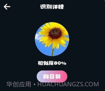 识别花v1.13截图