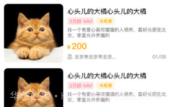 喵鑫球宠物v1.0.13截图