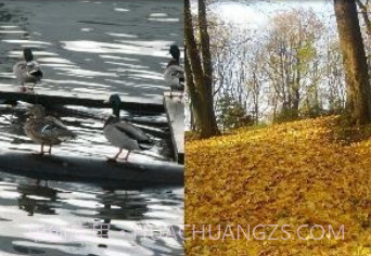 幻灯片动态壁纸LITEV1.5.10截图