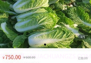 黑豹优选v1.0.14截图