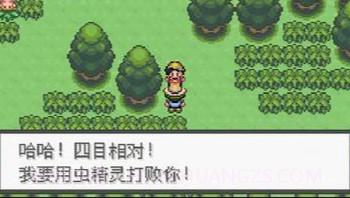 口袋妖怪：极光石V1.9截图