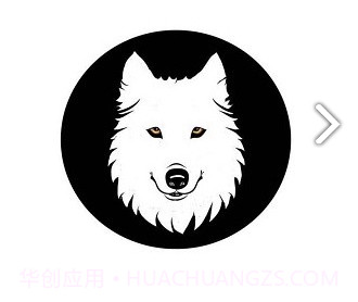 小狼直通车(小狼直通车礼包码)V2.5.02 安卓手机版V2.5.13截图