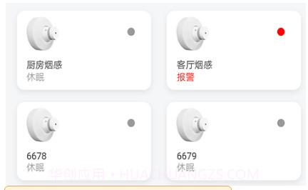 昂内斯电卫士v0.2.16截图