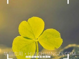 神农百草识别v1.11截图