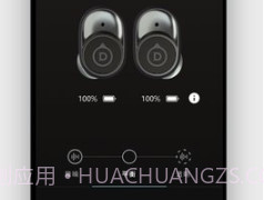 Devialet Geminiv1.11截图