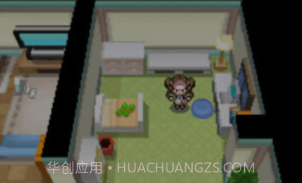 口袋妖怪：黑2v1.9截图