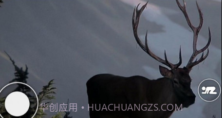 恐怖森林猎人v1.11截图