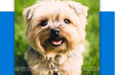 微软网盘OneDrivev2.11.14截图
