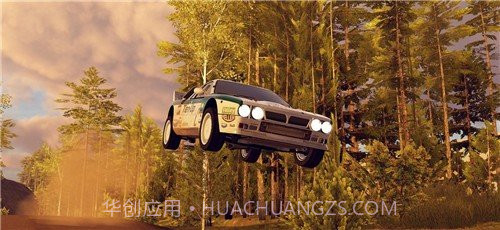 CarX拉力赛中文版13508截图