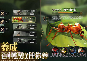 小小蚁国单机版v1.55.15截图