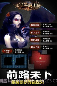 暗黑城主单机版1.3.17截图