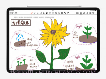 Lionote狮子笔记v1.4.13截图