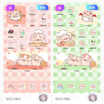 colorful widgetv2.6.12截图
