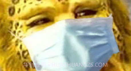 易图机v1.0.17截图