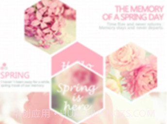 你好春天(你好春天壁纸软件)v3.5.14 正式版v3.5.9截图