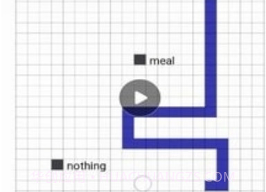 单词蛇v4.2.15截图