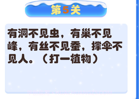 明明答题v1.0.13截图