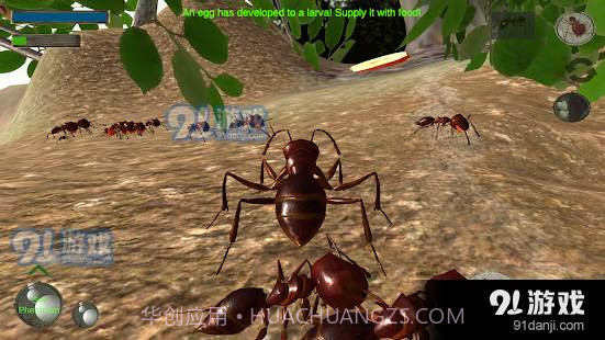 3d蚂蚁模拟器中文版3.3.13截图