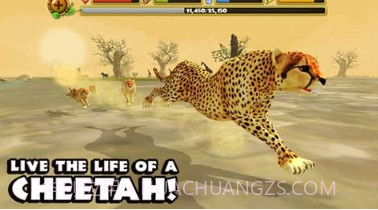 猎豹模拟器V1.17截图