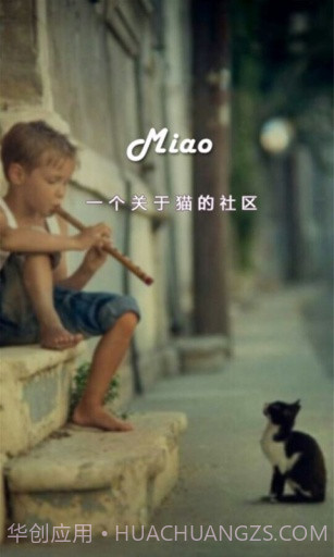 喵星球1.3.6截图