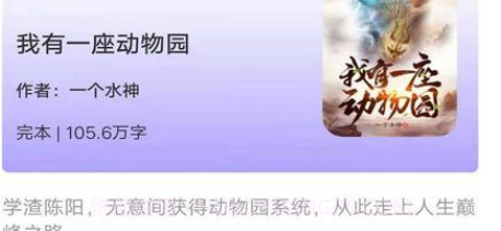 意风小说v1.6.10截图