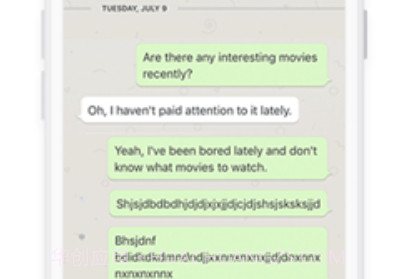 secret messengerv1.2.13截图