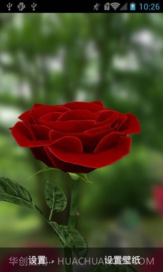 3D玫瑰动态壁纸1.3截图