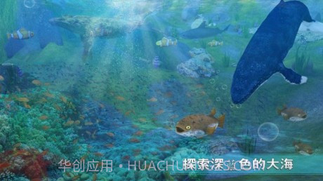 全民养鲸鱼红包版v1.12截图