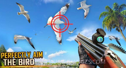 野鸟狩猎v1.13截图