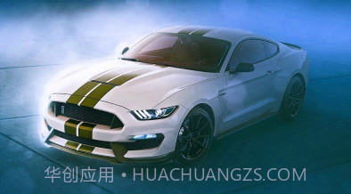 野马赛车模拟器v1.17截图