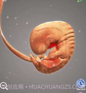 9个月v1.24.01.11.15截图