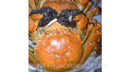 爱的饭店v1.18截图