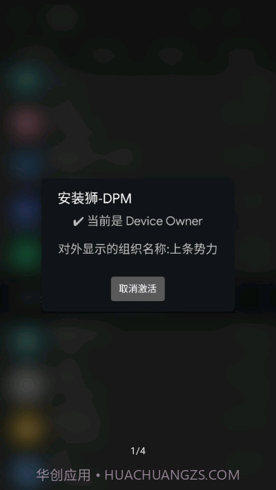 安装狮DPM1.2截图