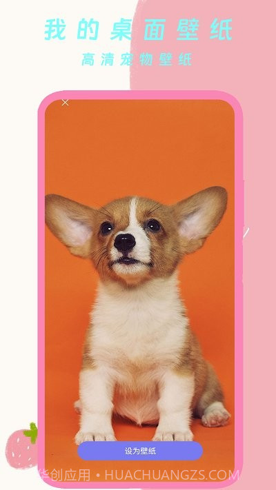 我的桌面壁纸安卓版截图