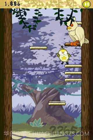 小鸟跳跳最新版v1.8截图