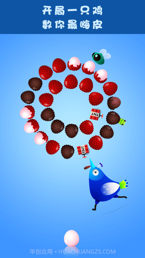 嗨皮小鸡v3.41.15截图